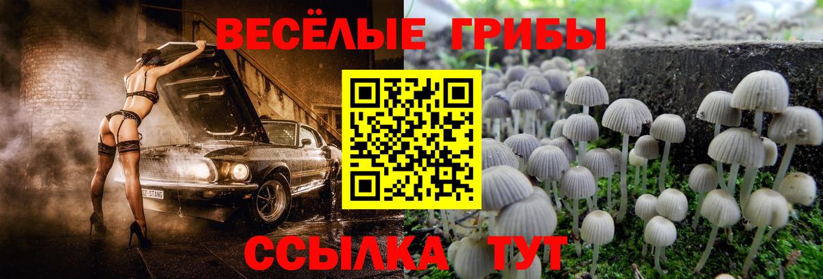 Пушкино  Псилоцибиновые грибы Magic Shrooms  Вход с VPN  Галлюциногенные грибы мухоморы 